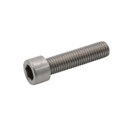 rvs cilinderkopbout M5 x 16