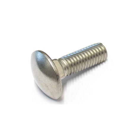 rvs slotbout M8 x 25