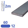 stalen strip 60x12mm