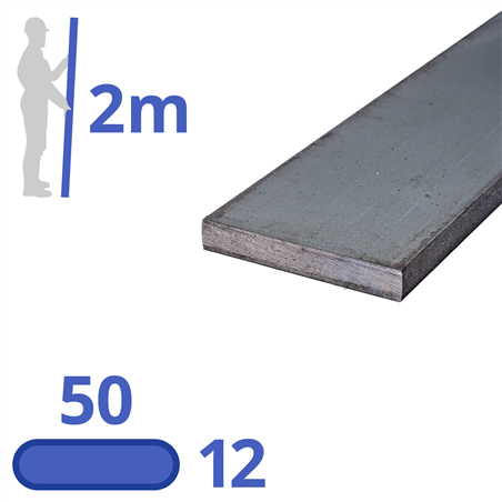 stalen strip 50x12mm