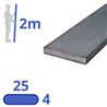 stalen strip 25x4mm