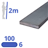 stalen strip 100x6mm