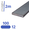 stalen strip 100x12mm