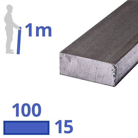 stalen plat 100 x 15mm, lengte 1000mm
