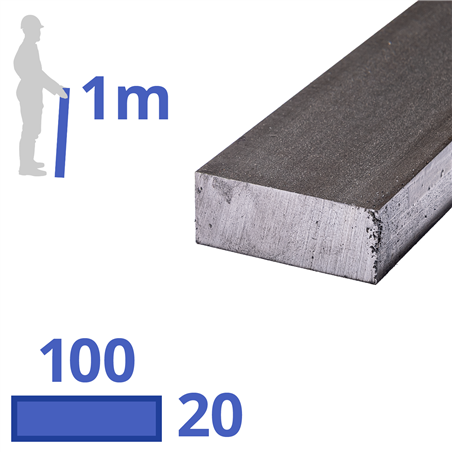 stalen plat 100 x 20mm, lengte 1000mm