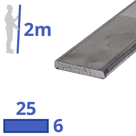 rvs strip 25x6mm
