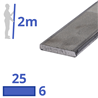 rvs strip 25x6mm