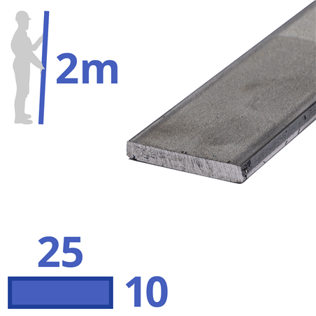 rvs strip 25x10mm