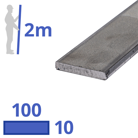 rvs strip 100x10mm