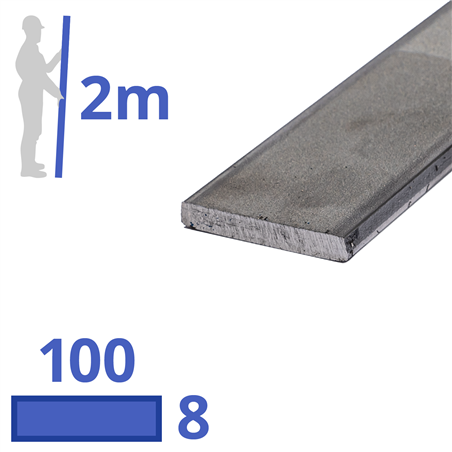 rvs strip 100x8mm