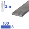 rvs strip 100x8mm
