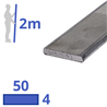 rvs strip 50x4mm