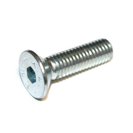 verzinkte verzonkenkopbout M8 x 10